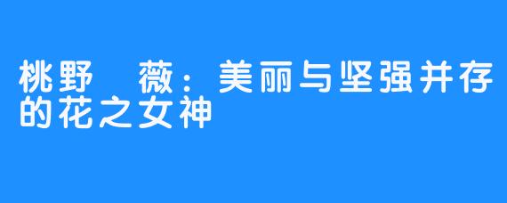 桃野薔薇：美丽与坚强并存的花之女神