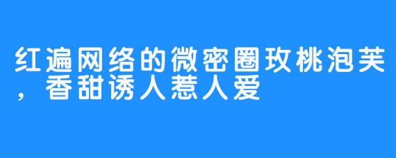 红遍网络的微密圈玫桃泡芙，香甜诱人惹人爱