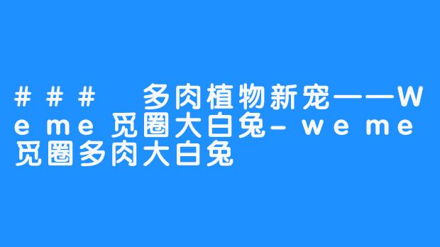 ### 多肉植物新宠——Weme觅圈大白兔-weme觅圈多肉大白兔