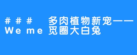 ### 多肉植物新宠——Weme觅圈大白兔