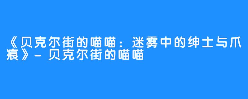 《贝克尔街的喵喵：迷雾中的绅士与爪痕》-贝克尔街的喵喵