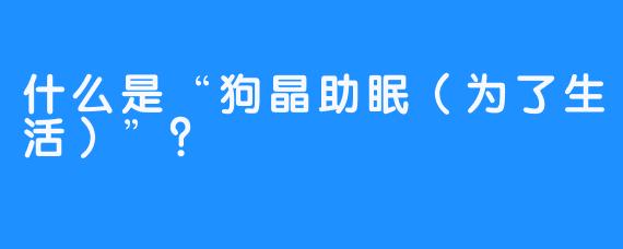 什么是“狗晶助眠（为了生活）”？
