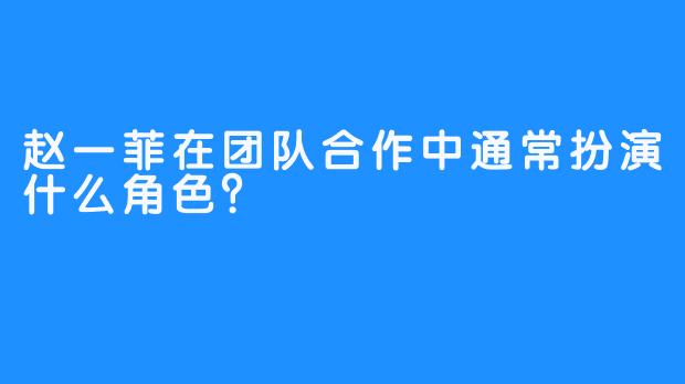 赵一菲在团队合作中通常扮演什么角色?